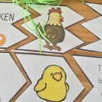 chicken life cycle worksheets and activities