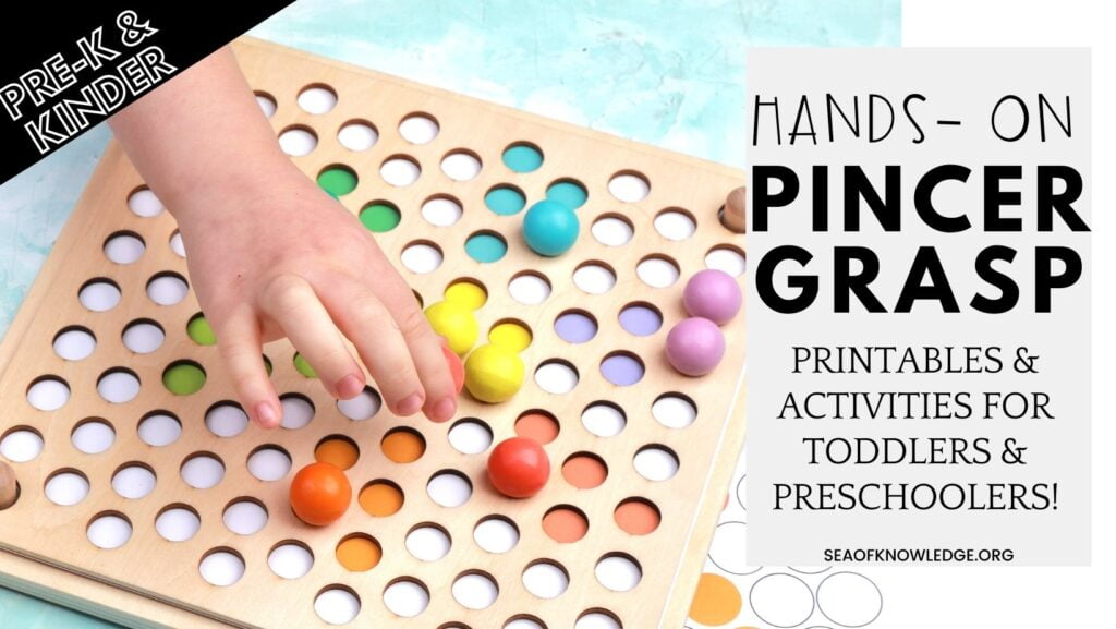 Providing ample opportunities to practice Pincer Grasp Activities for Toddlers is essential to help kids develop their fine motor skills. Involving your children with small objects to practice pincer grip is essential. 