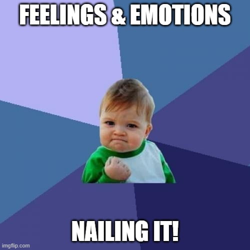 emotions meme activities preschool