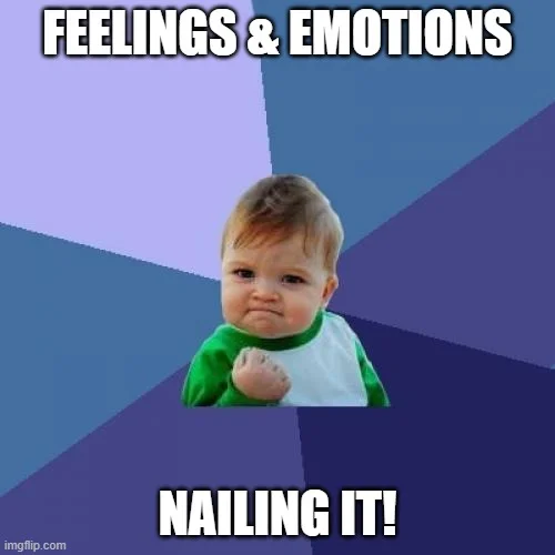 emotions meme activities preschool