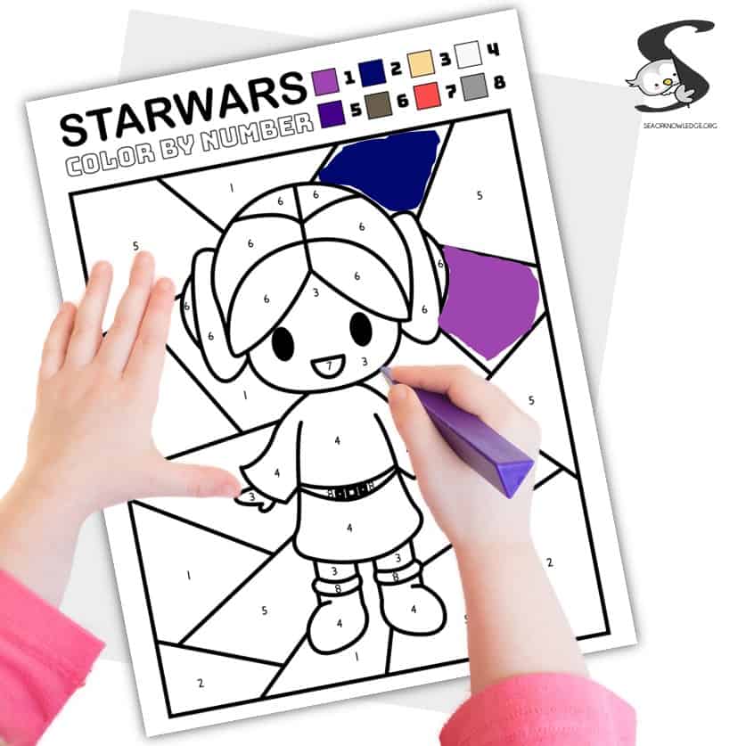 Kids love Star Wars and the characters from the movies. These free printable Star Wars color by number sheets will be a hit with your students and children!