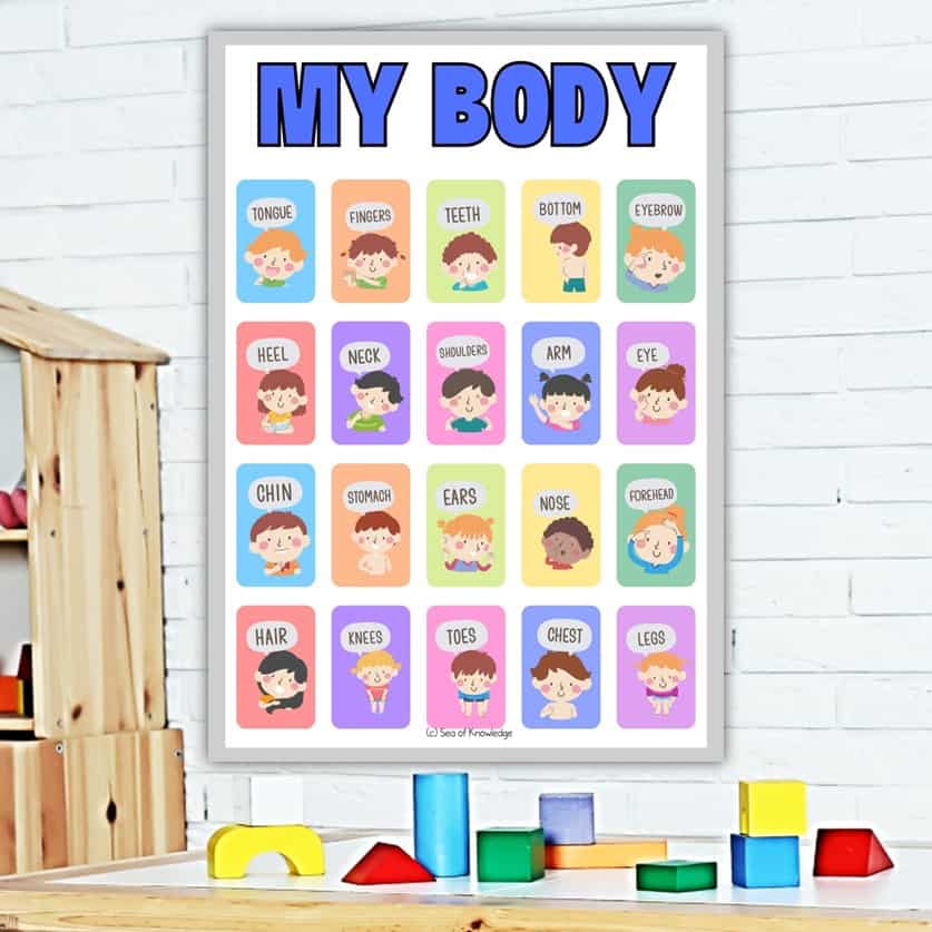 It is important to learn about the body in preschool. These body parts activities for preschoolers are perfect when introducing this theme. See 15+ printables, worksheets, crafts and games for learning all about the body for preschoolers and toddlers.