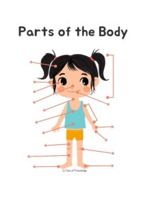 15+ Fun Body Parts Activities for Preschoolers (Including Labeling Posters)