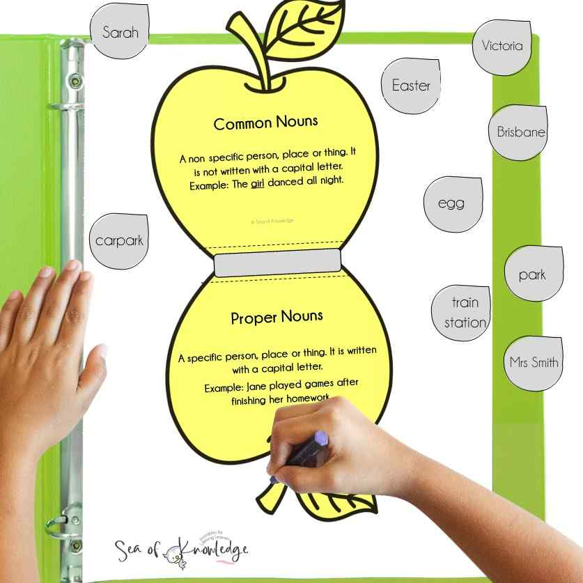 Kids will love learning all about the different kinds of nouns with this common and proper nouns lesson plan. This printable includes a fun interactive notebook activity where kids cut and paste their responses underneath each flap. They will sort the common and proper nouns. 