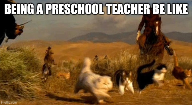 funny preschool teacher quote
