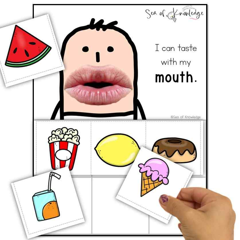 Toddlers and preschoolers will love these ready made and self correcting 5 senses printable and online games. They include relevant 5 senses words that kids can relate to and imitate. These five senses matching game slides are perfect for kids who are learning all about their senses and need a visual guide. 