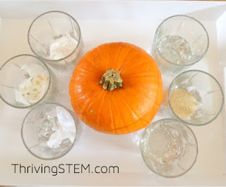 Thanksgiving stem activity