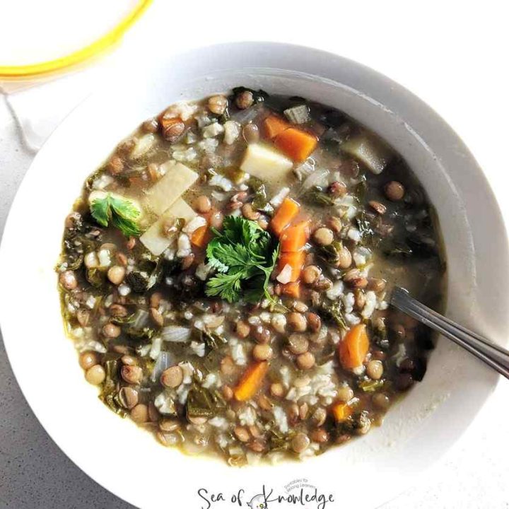 Looking for an easy meal to feed the whole family? Are you also sometimes stumped on what to make for lent or meat-free weekdays? This super easy Lebanese Lemon Lentil Soup will be a family favourite in no time!