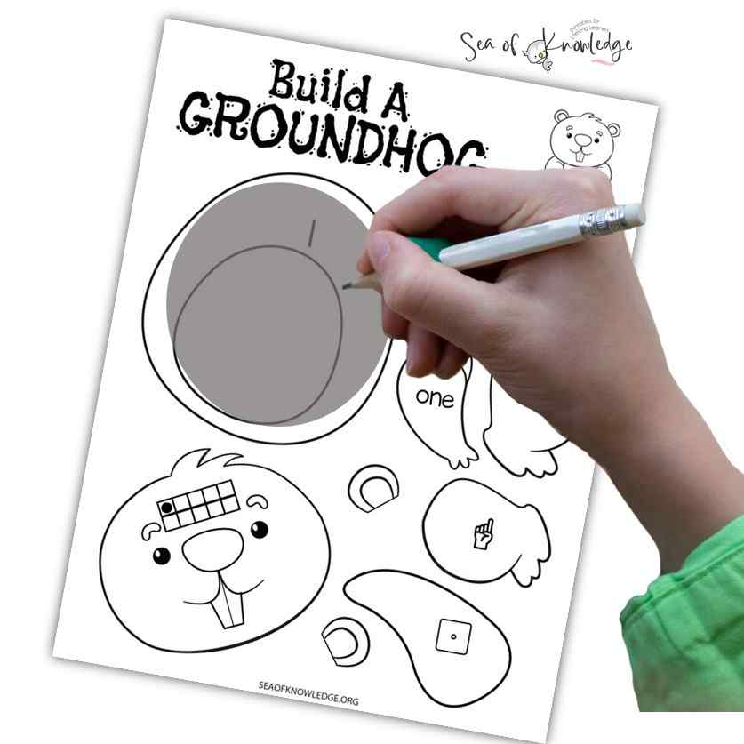 Kids will love these super simple groundhog day arts and crafts. These crafts not only build on the child's knowledge about groundhogs, but they also help build the all important fine motor skills. 