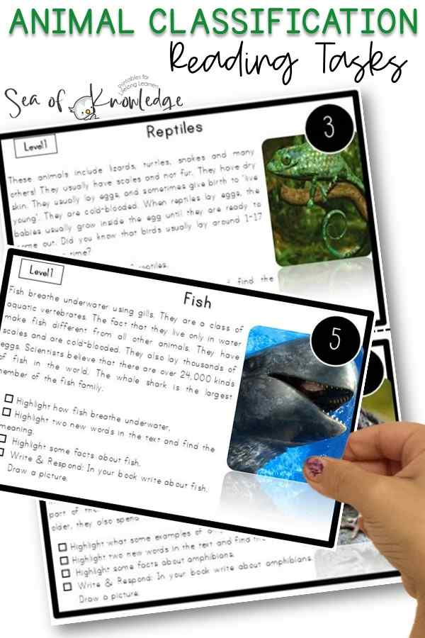 As educators and parents, we understand the significance of fostering strong reading comprehension skills in young learners. These classification of animals pdf reading tasks are perfect to combine science AND reading. 