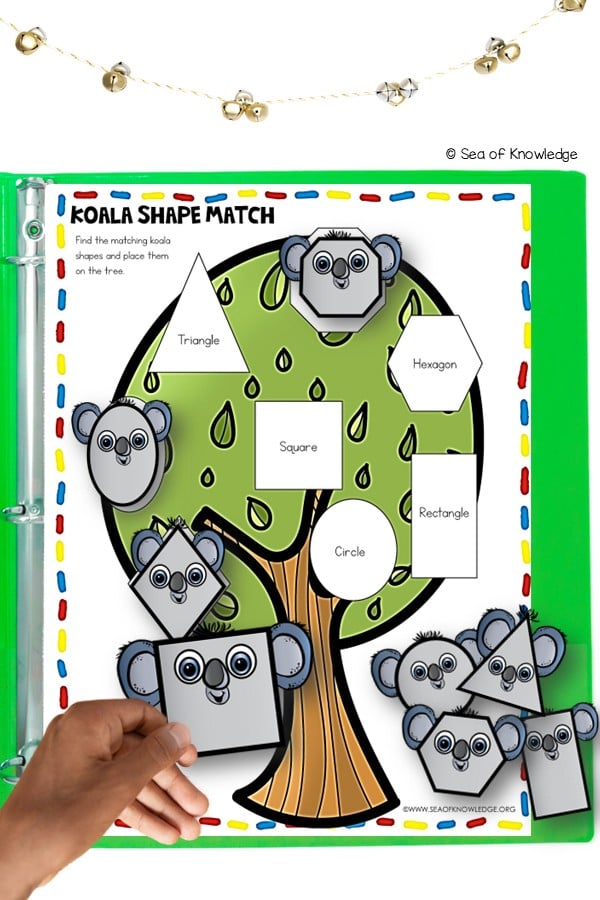 In this engaging game, kids match colorful koala shapes to the corresponding spots on a tree, sparking their early recognition of basic 2D shapes while enhancing fine motor skills. 