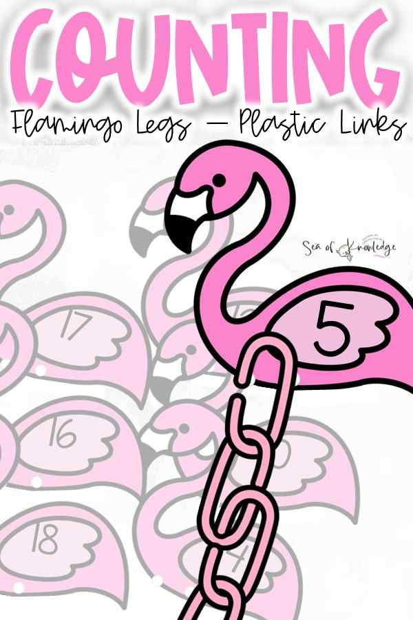 Are you looking for a fun and engaging way to teach your students one to one correspondence counting skills? Look no further than Flamingo cards with plastic links!