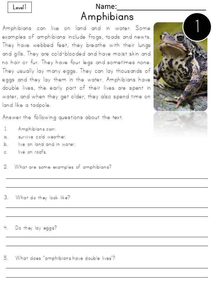 As educators and parents, we understand the significance of fostering strong reading comprehension skills in young learners. These classification of animals pdf reading tasks are perfect to combine science AND reading. 