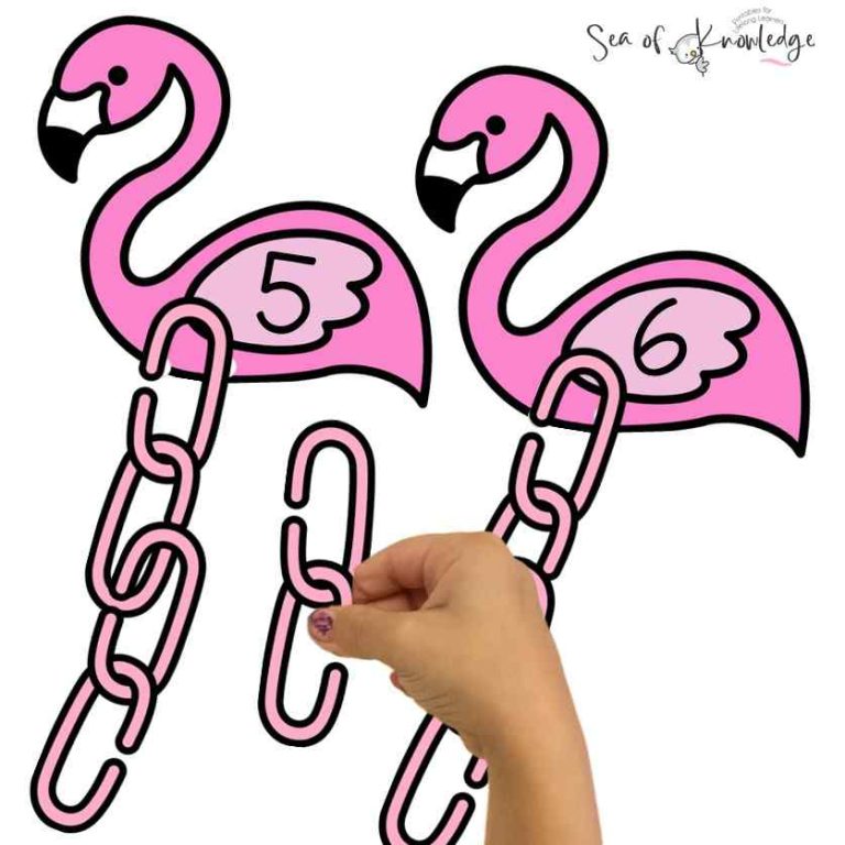 Are you looking for a fun and engaging way to teach your students one to one correspondence counting skills? Look no further than Flamingo cards with plastic links!