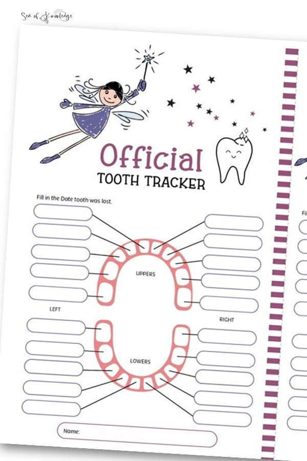 Discover the Magic: Free Printable Letter from Tooth Fairy Pack | Help Kids Embrace Losing Teeth - Learn How to Use These Printables & More! Share in the Enchantment of Childhood Milestones.