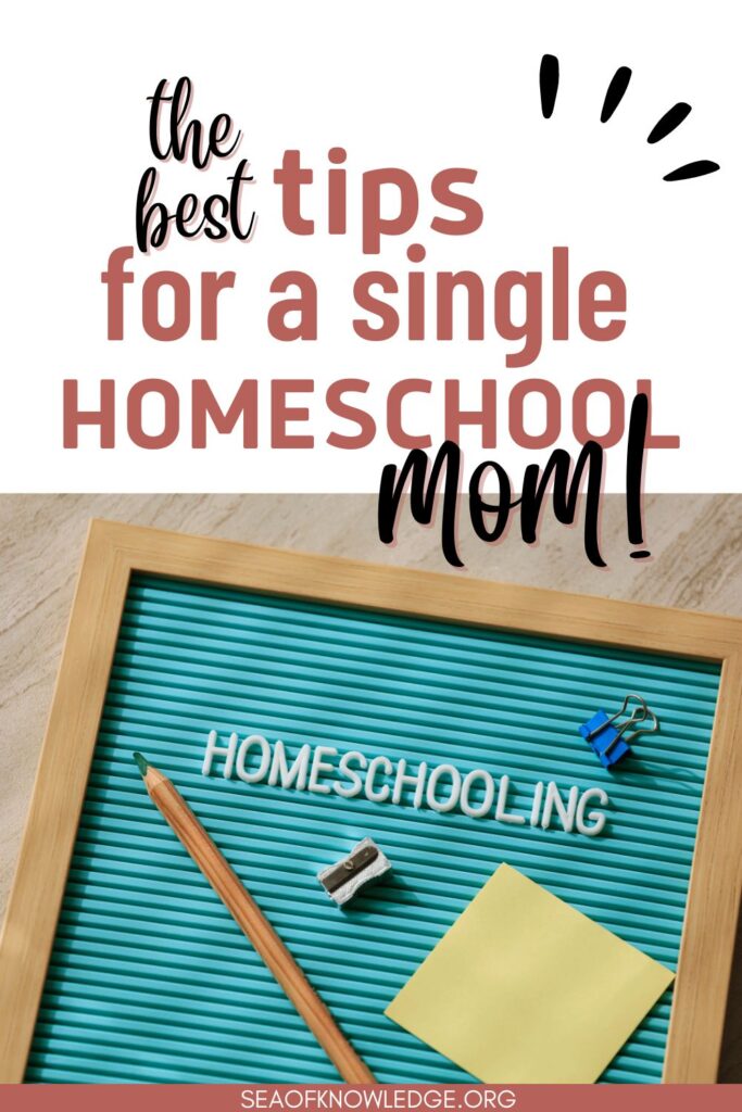 You're a Single Homeschool Mom? Here's How to Avoid a MELTDOWN (and Maybe Even ENJOY It!)  
Feeling like a frazzled teacher, chef, and referee all rolled into one?  This post is your lifeline!  Ditch the Pinterest-perfect plans and discover 20 battle-tested tips for conquering chaos, managing meltdowns, and thriving (yes, thriving!) as a single homeschooling mama.  Click here for the secrets to your sanity (and maybe even a glass of wine at the end of the day!)  