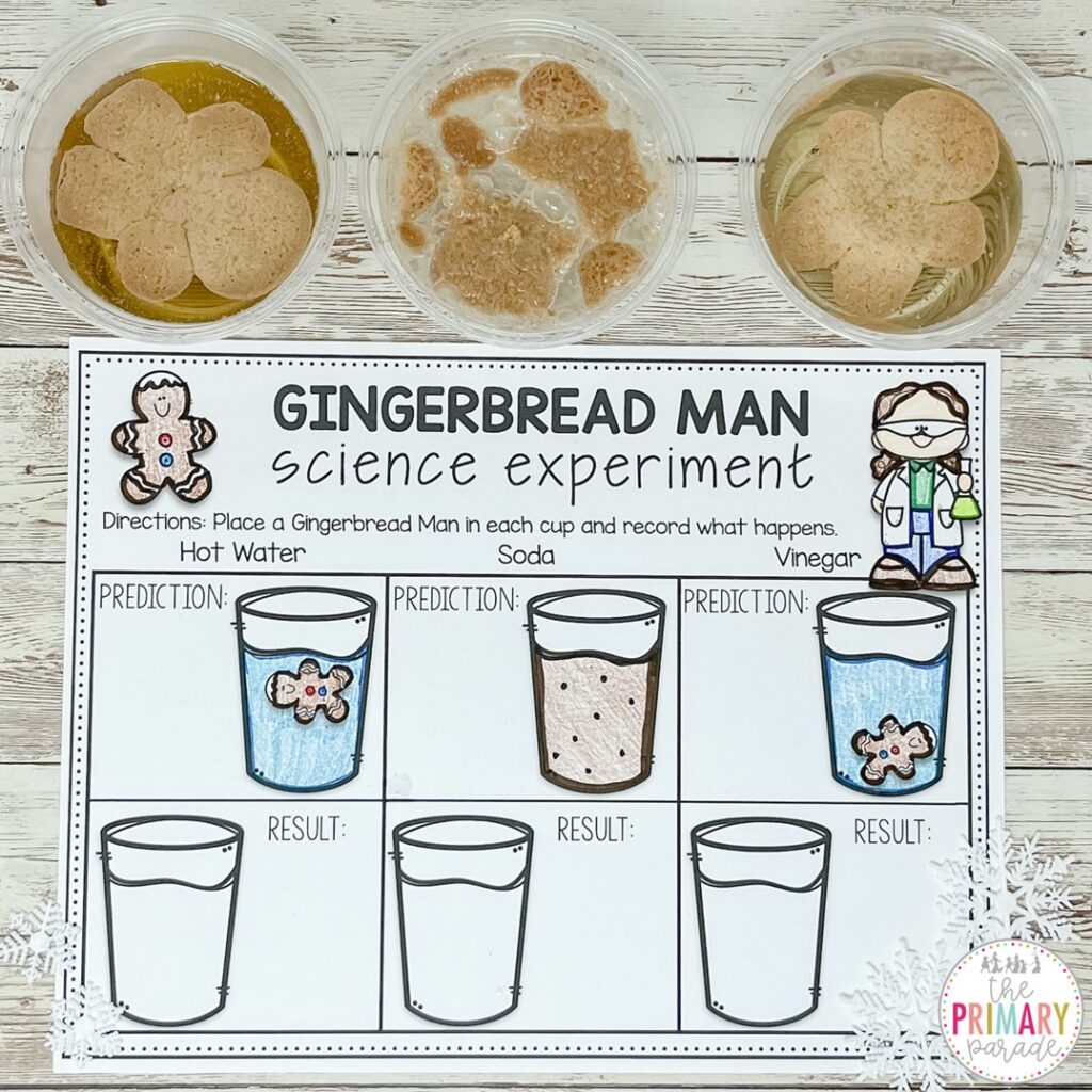 Gingerbread Cookie Science Experiment
Bring science to life with a sweet holiday twist! Kids will explore hands-on learning through a fun gingerbread cookie experiment, blending curiosity and creativity. It’s a perfect way to mix STEM with Christmas fun!
