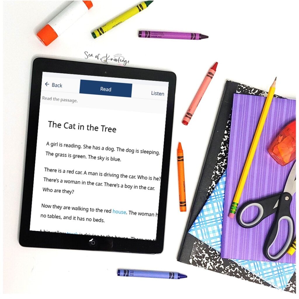 Flat lay of Rosetta Stone dashboard, ESL speaking prompts printable, and colorful ESL teaching tools