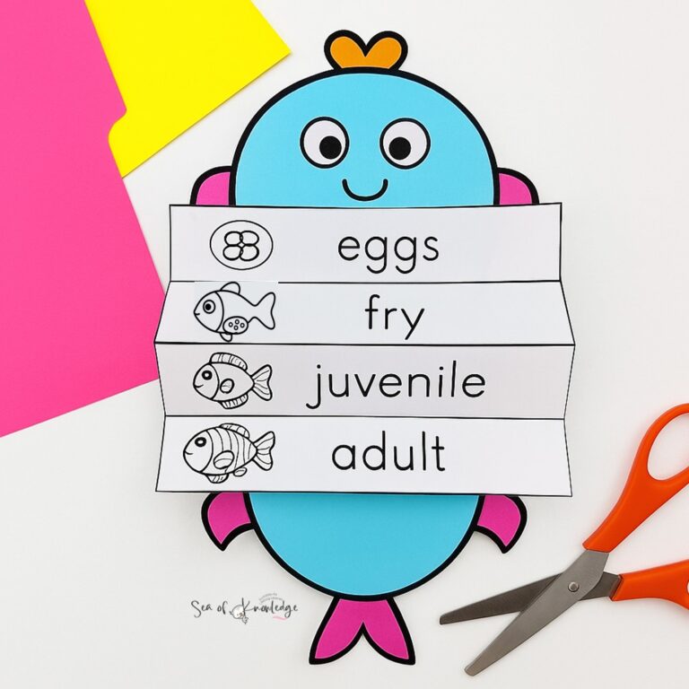 Explore the fish life cycle for kids with a fun printable craft, mini research poster, and step-by-step directions—perfect for preschool and kindergarten!