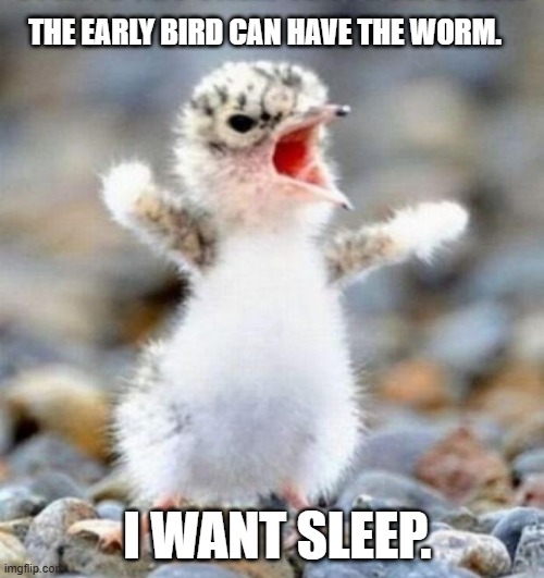 Snarky back-to-school quote for educators facing their first day of the week.