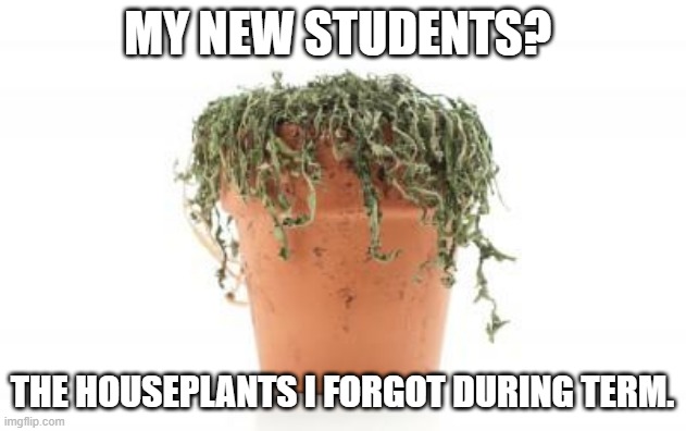 Funny teacher tired quote about vacation