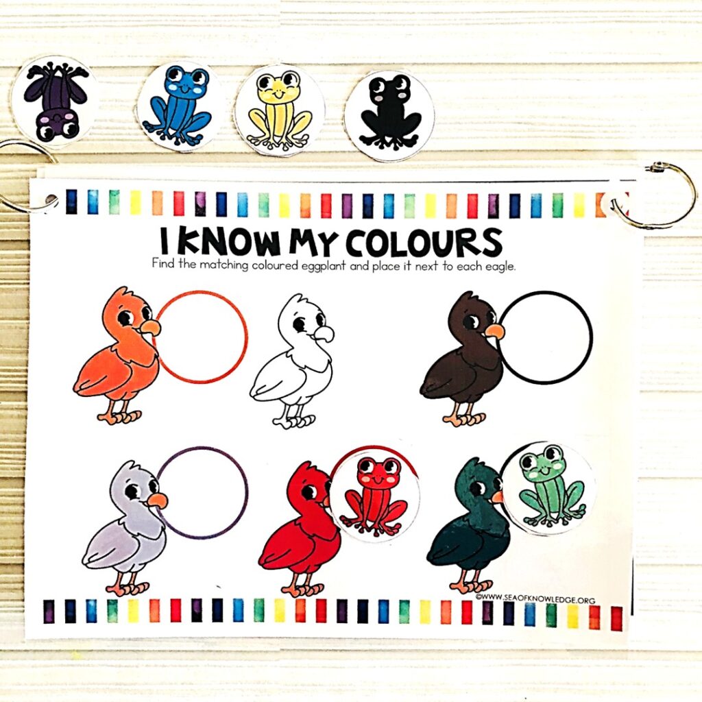 Editable fall busy binder with pumpkins, acorns, and leaves for kindergarten