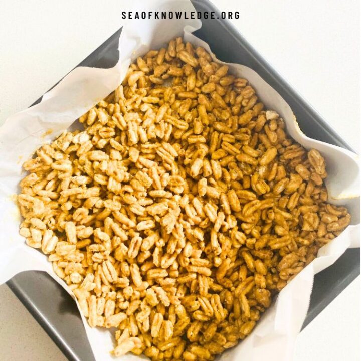 puffed kamut protein bars