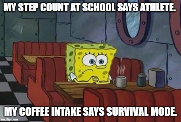 relatable paraprofessional memes for teachers and aides
