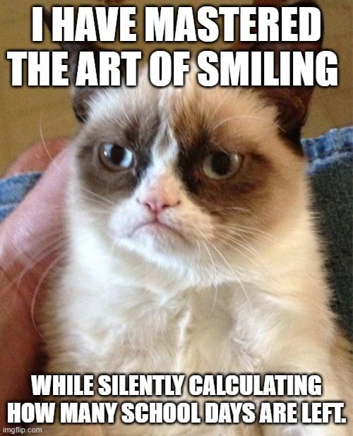 Funny teacher sayings about life in the classroom