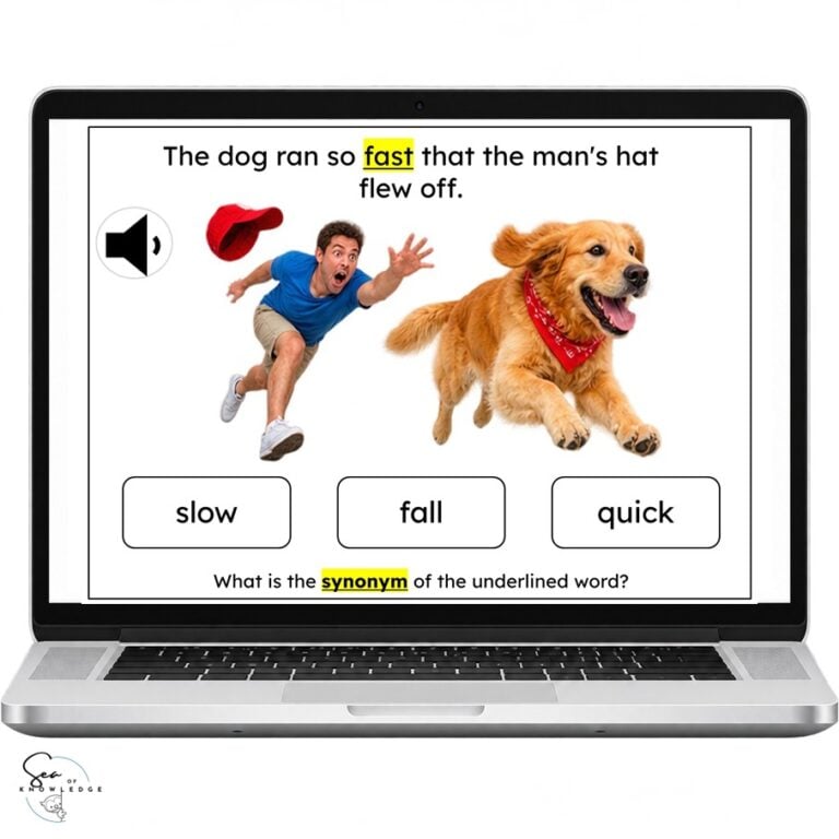 Fun Synonyms Activities with Pictures and Boom Cards